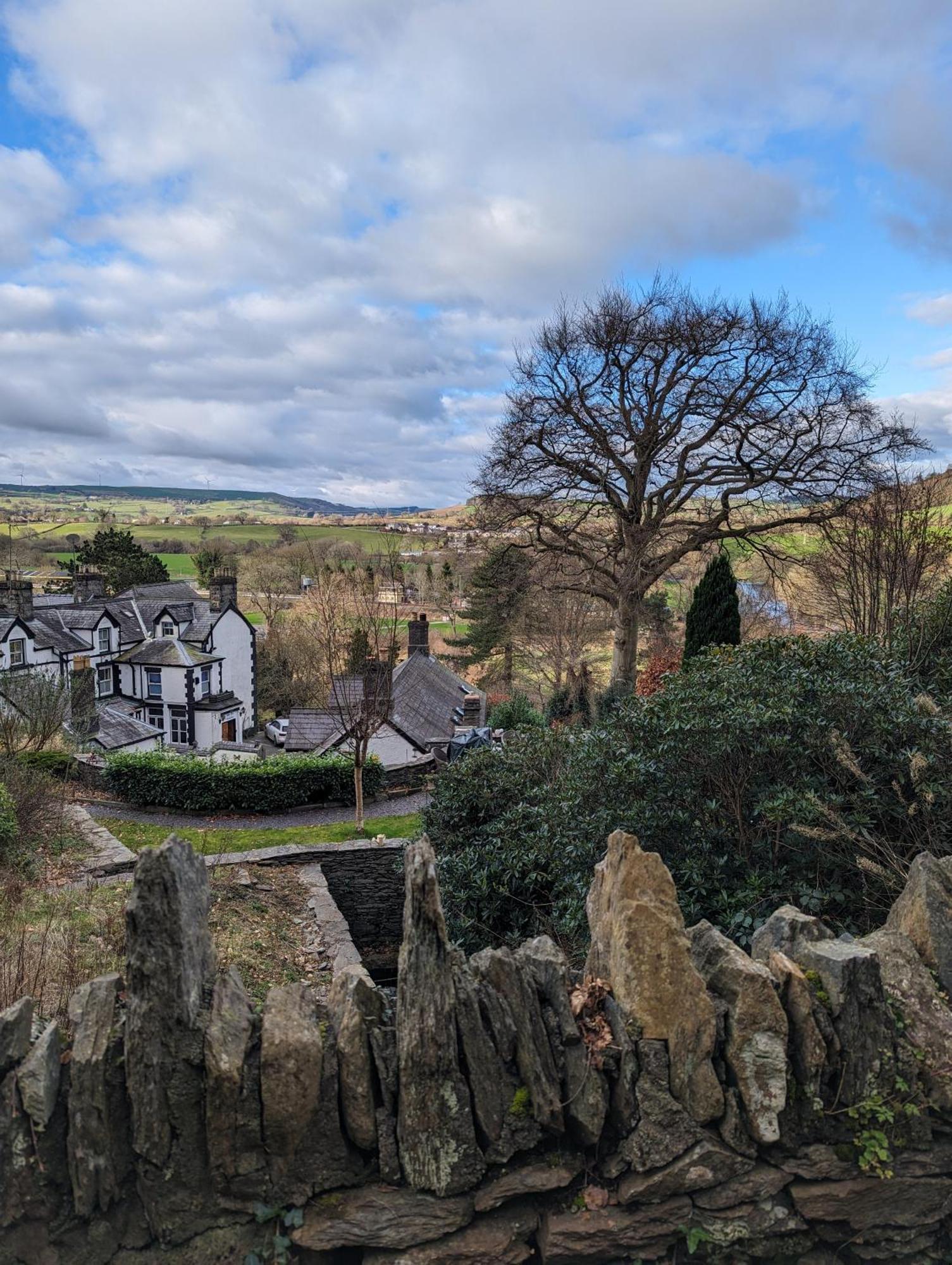 Hotel Bron-Y-Graig à Corwen Extérieur photo